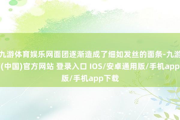 九游体育娱乐网面团逐渐造成了细如发丝的面条-九游体育(中国)官方网站 登录入口 IOS/安卓通用版/手机app下载