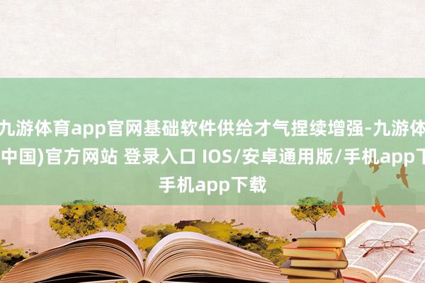 九游体育app官网基础软件供给才气捏续增强-九游体育(中国)官方网站 登录入口 IOS/安卓通用版/手机app下载