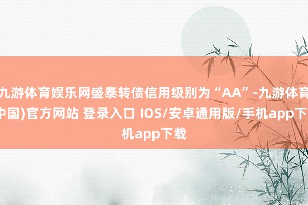 九游体育娱乐网盛泰转债信用级别为“AA”-九游体育(中国)官方网站 登录入口 IOS/安卓通用版/手机app下载
