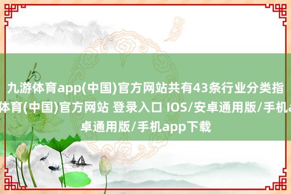 九游体育app(中国)官方网站共有43条行业分类指数-九游体育(中国)官方网站 登录入口 IOS/安卓通用版/手机app下载